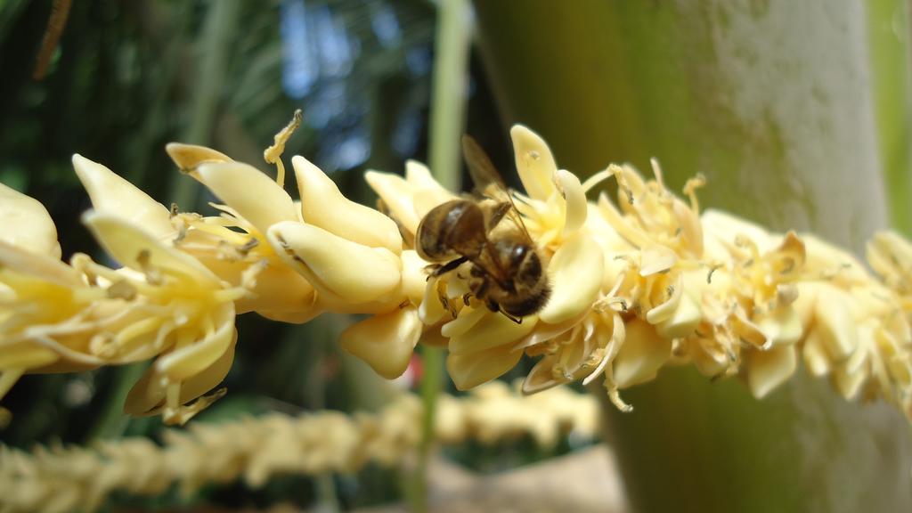 La Case Floria سانت أندريه المظهر الخارجي الصورة